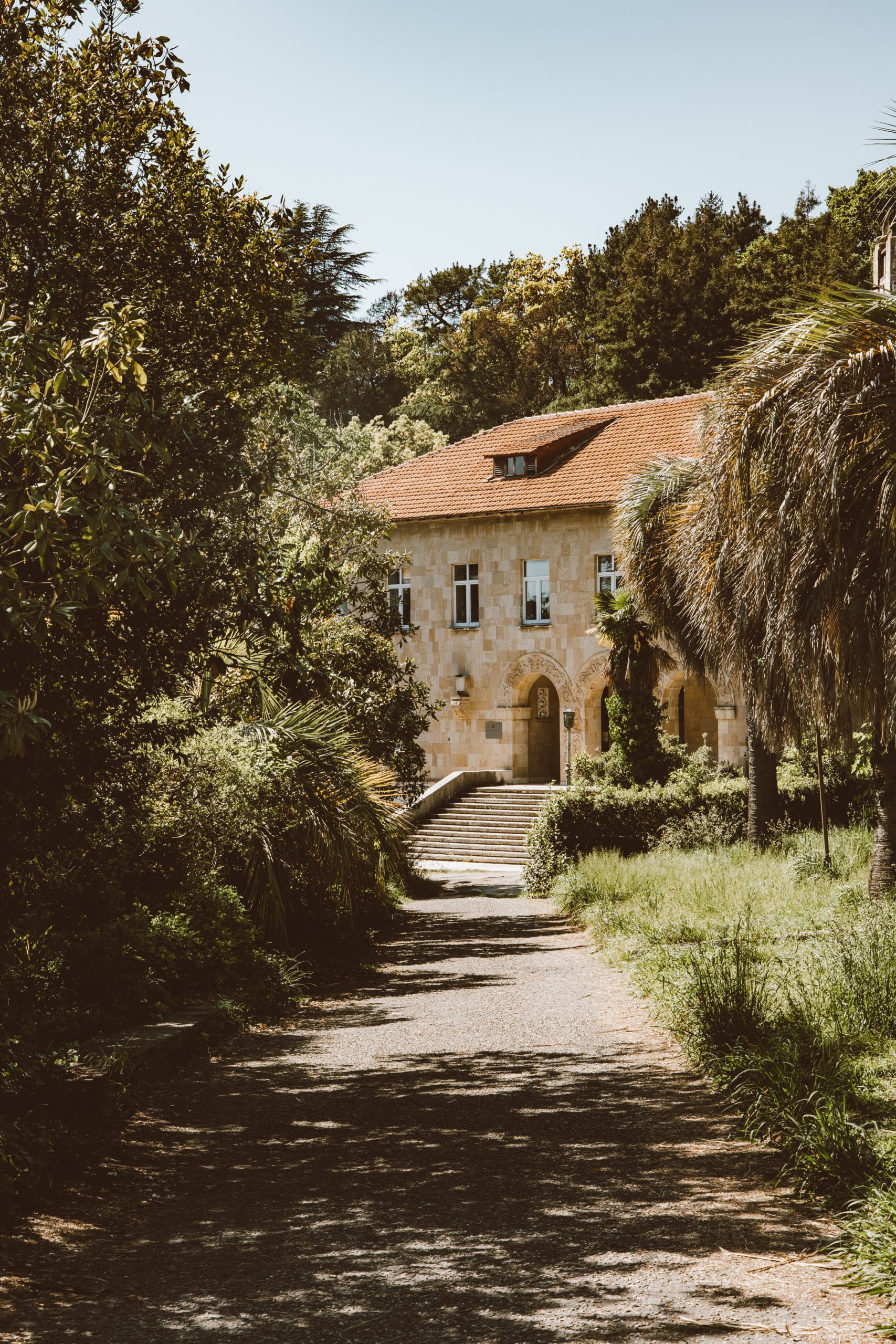 Refugio estival: Cómo crear una decoración fresca y relajante para tu casa de verano